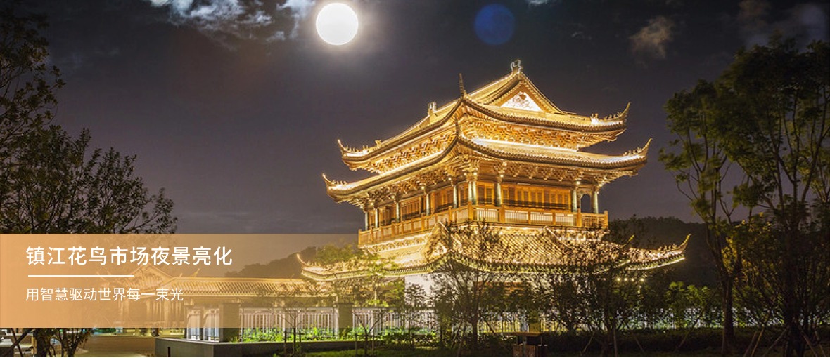 鎮(zhèn)江花鳥(niǎo)市場(chǎng)夜景亮化